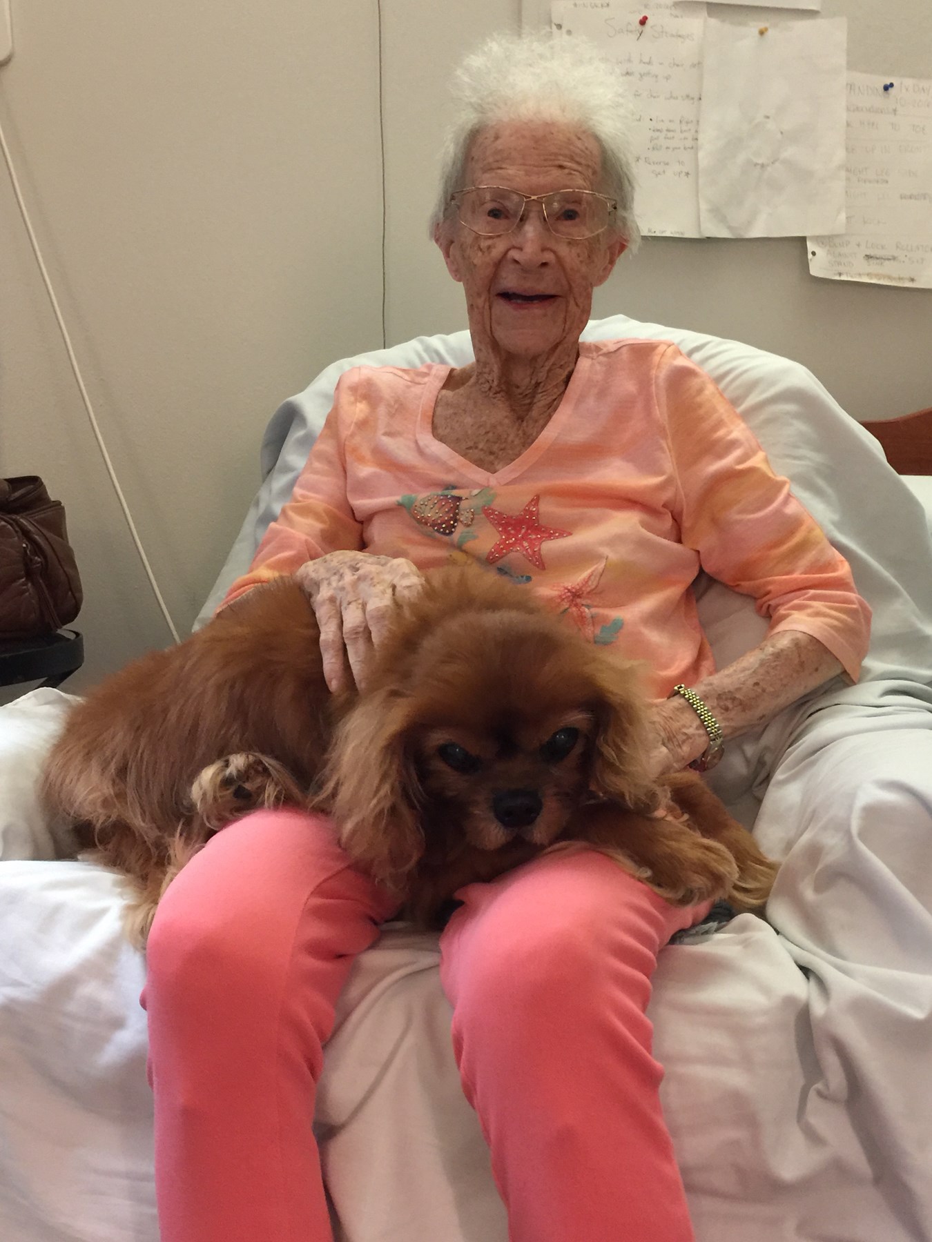 Virginia Miller Hoadley Obituary - Oviedo, FL