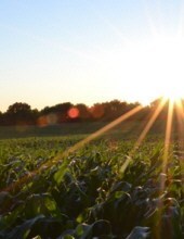 Obituary of Clarence Brown Teague