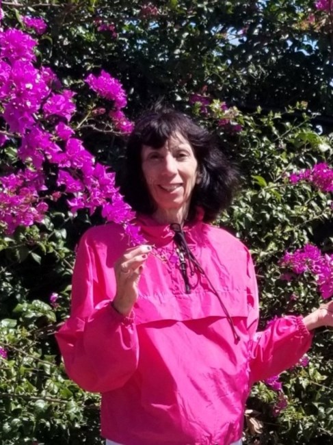 Obituary of Linda L Sullivan