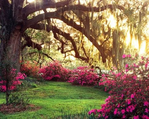 Obituary of Dorothy Leslie Franklin