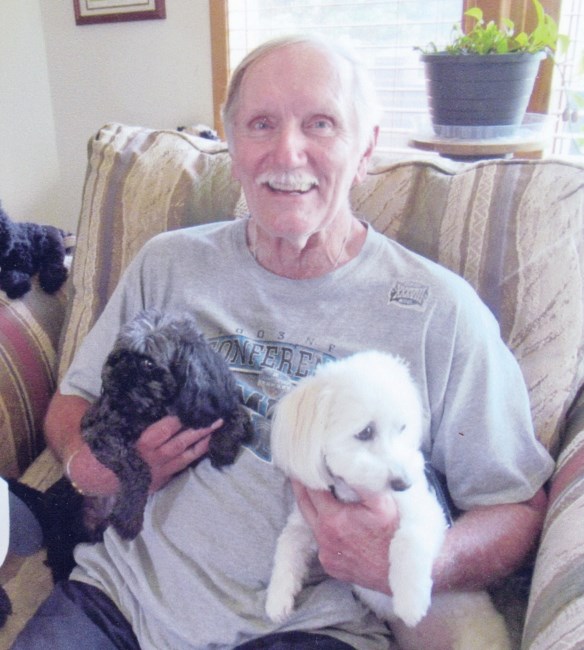 Obituary of David Andrew Bloom