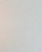 Susan Bohm Obituary - Peoria, IL