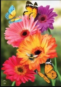 Obituary of Heidi Annmarie Martin