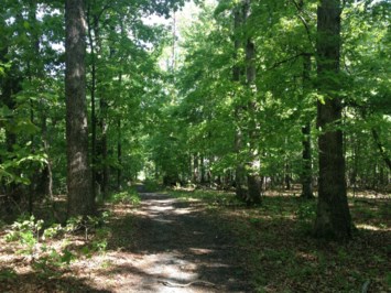 Obituary of Robert James Strouse