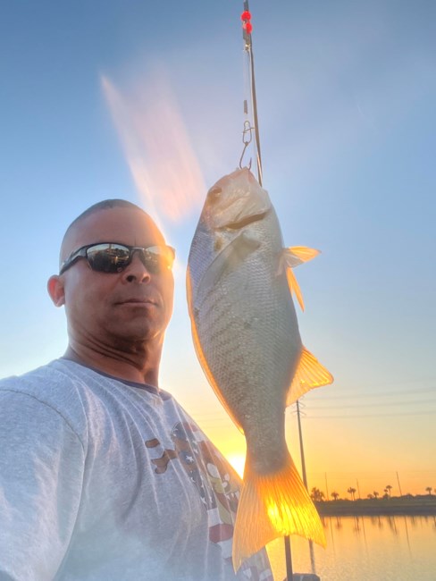 Obituary of Tony Weary