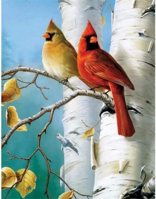 Obituary of Ellen P Baumann