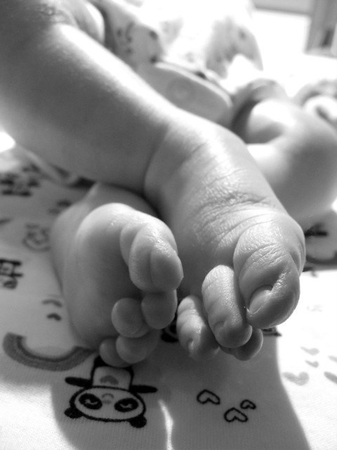 Obituary of Alexandria Marie Pierce