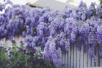 Obituary of Nancy Jen Awdeychuk