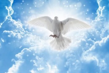 Obituary of Irving Alfredo Ambrosio Gutierrez