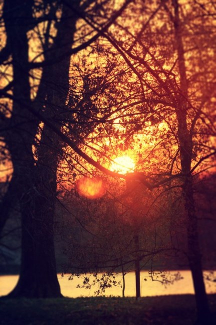 Obituary of William Lawrence Malley