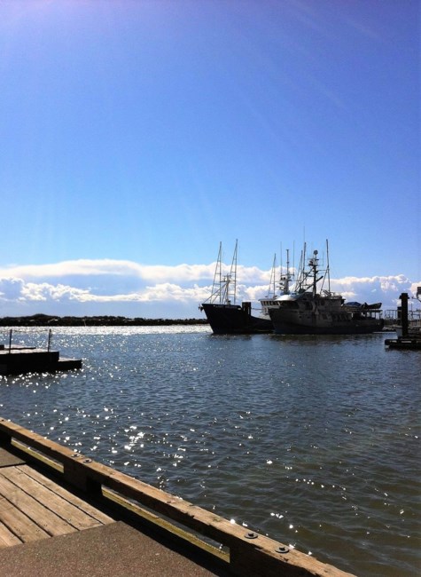 Obituary of Trevor John Kay