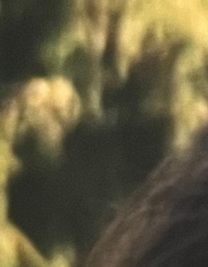 Angela Stricker Obituary - Ravenna, OH