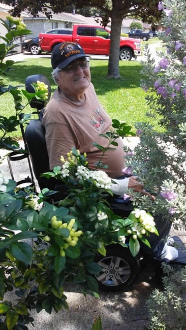 Obituary of John Vernon Steelman Jr.