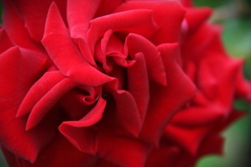 Obituary of Madeline Hansen