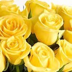 Obituary of Barbara W Draper