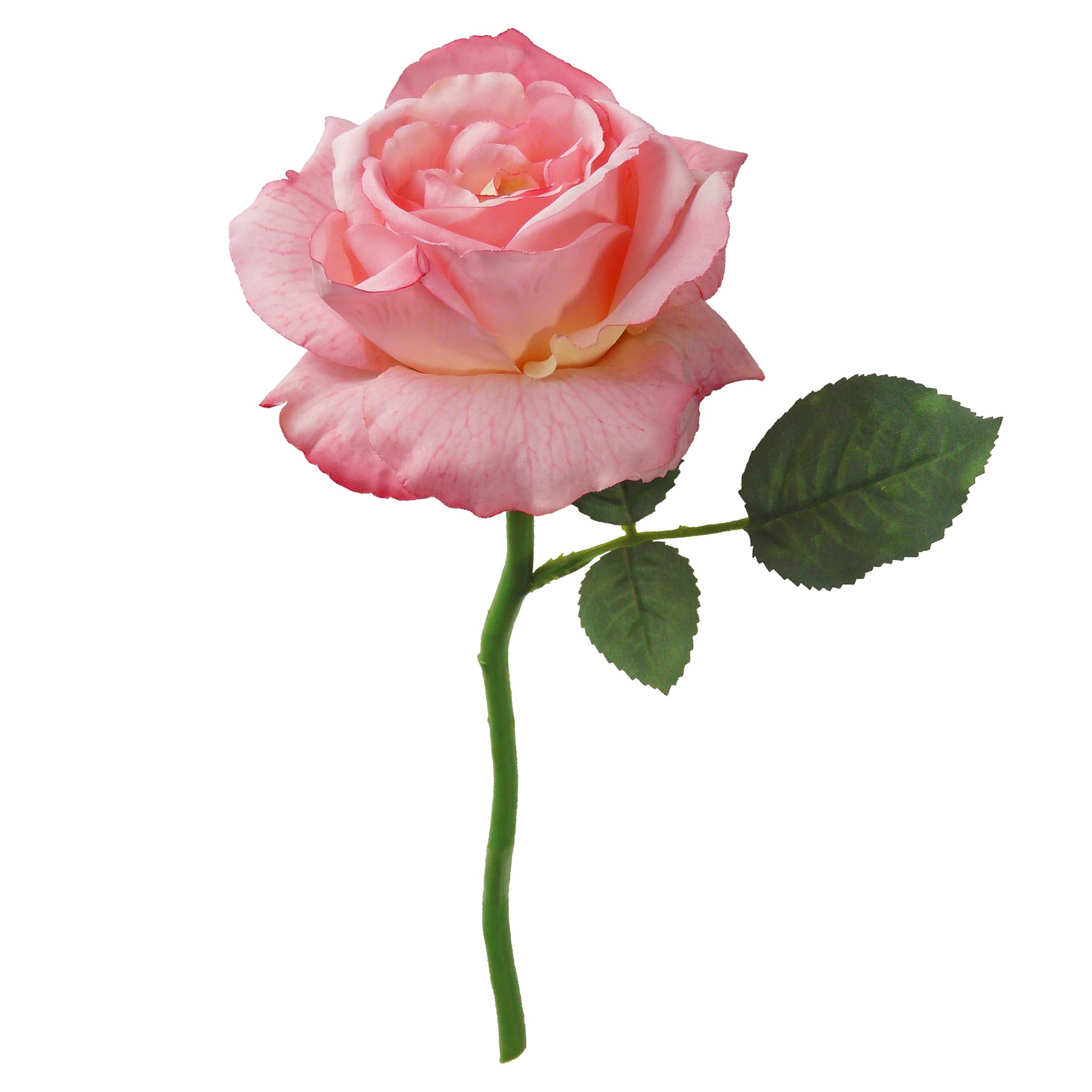 Obituary of Mary Ann Patricia Smith