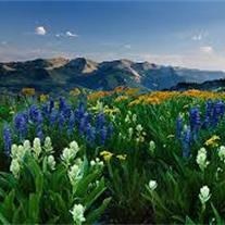 Obituary of Kamell Mike Allaway