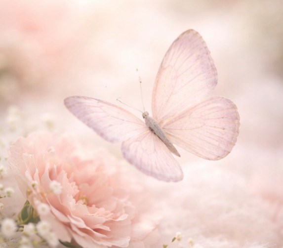 Obituary of Scottie Kay Hebert