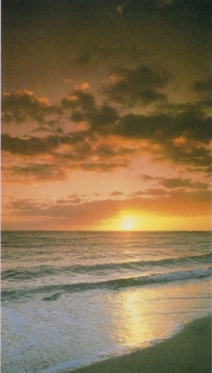 Obituary of Phyllis D. Sears