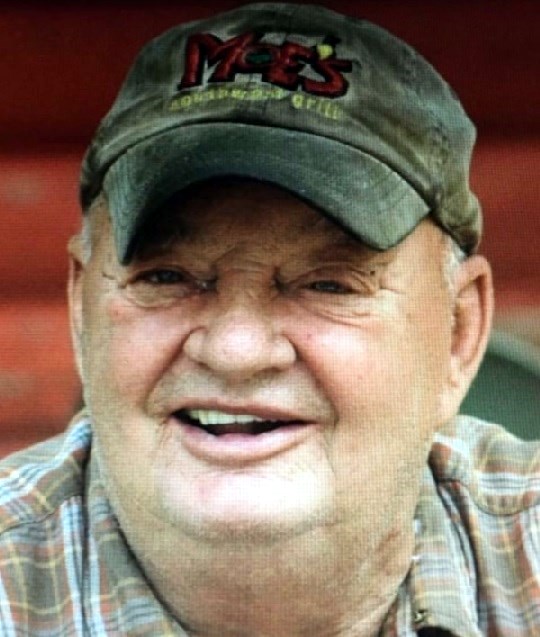 Obituary of Merlin D. Gorowsky