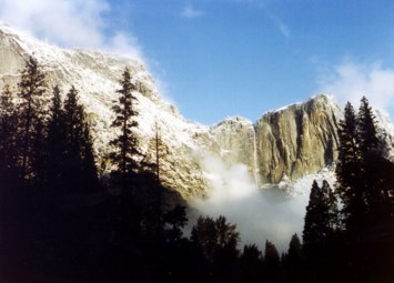 Obituary of Laura June Brewer