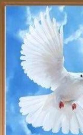 Roberto Carrillo Obituary Weslaco, TX