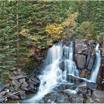 Avis de décès de Michael Roy Cummings