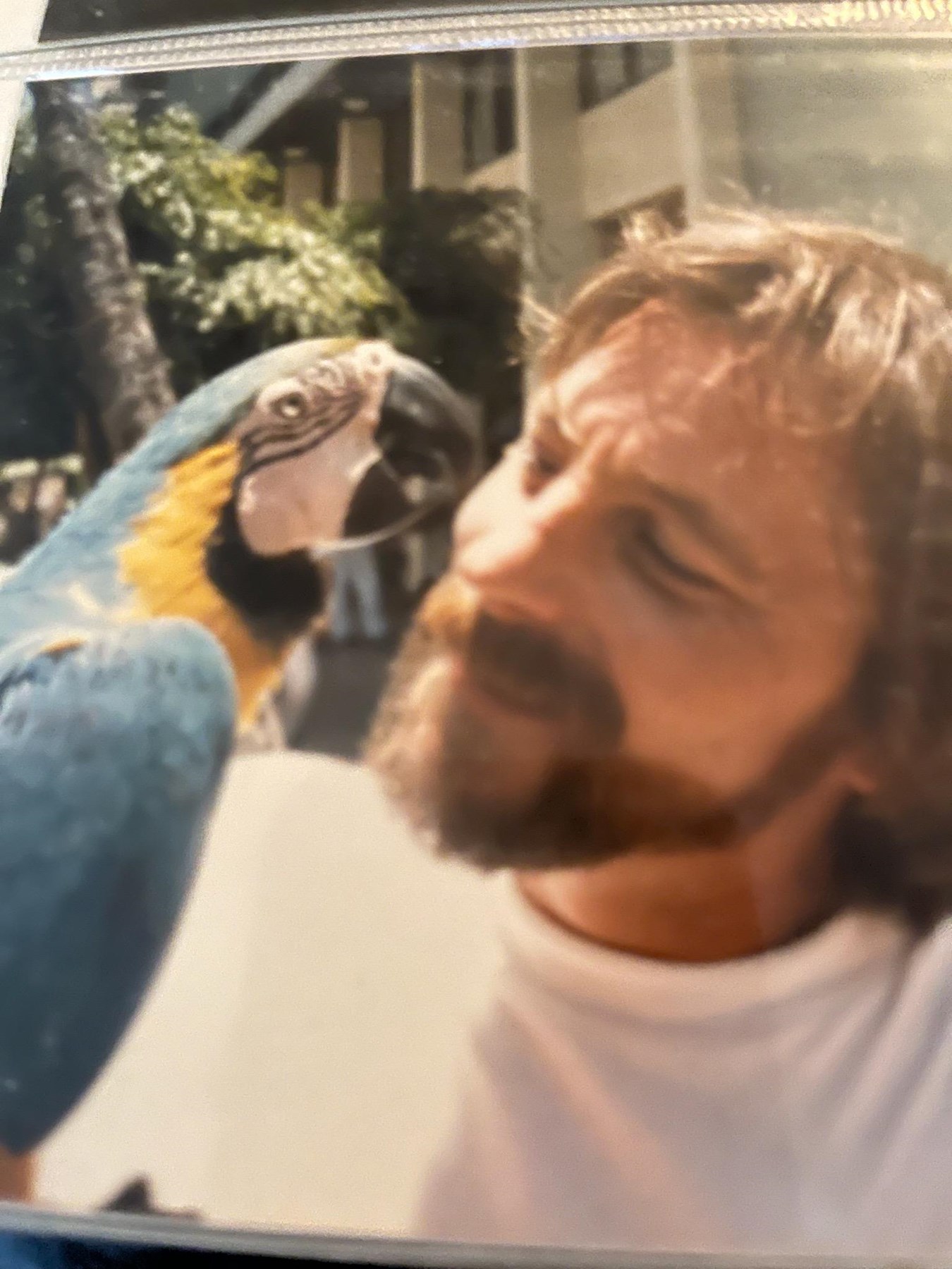 Obituary of David W Hughes