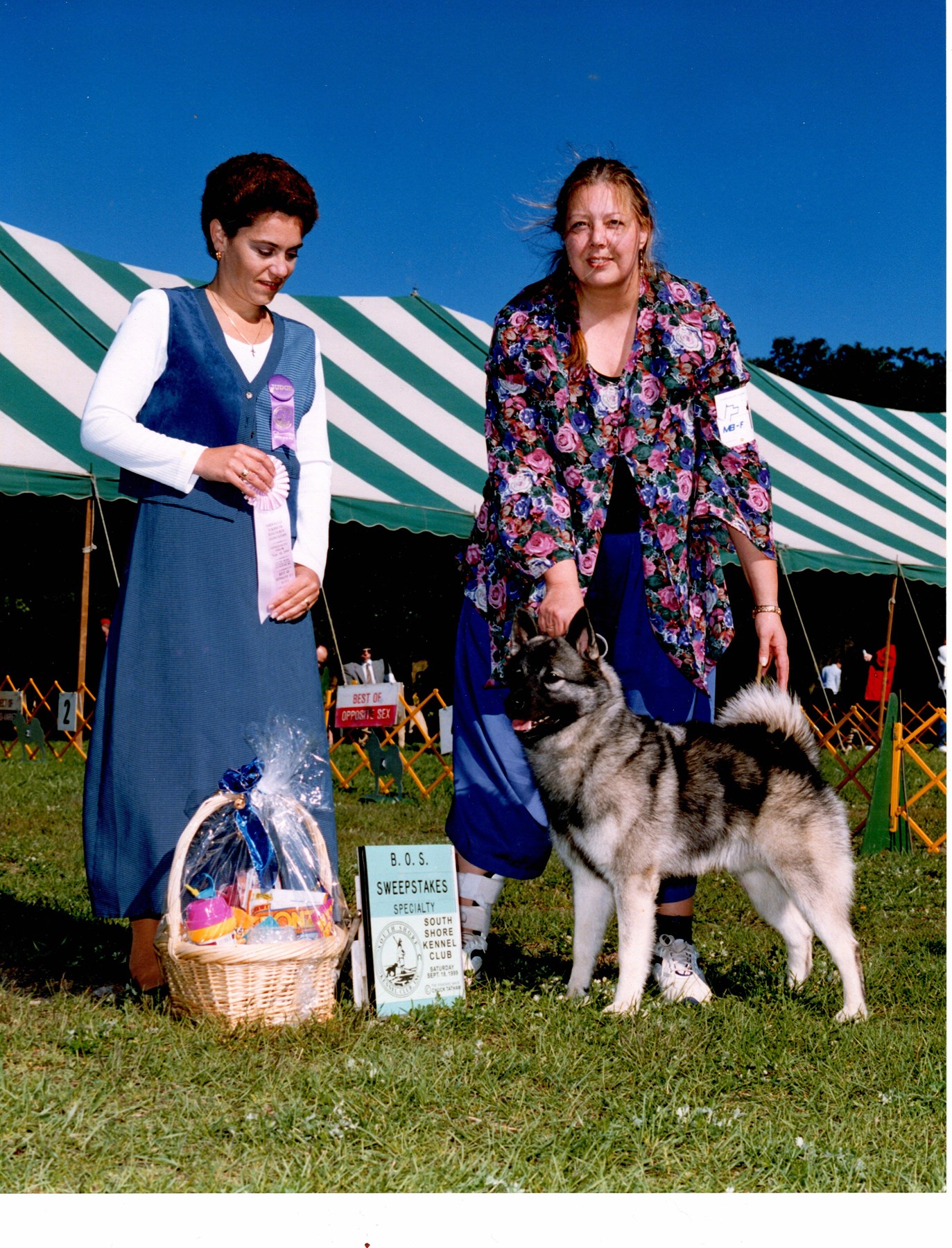 Obituary of Jacalyn "Jackie" A. McManus