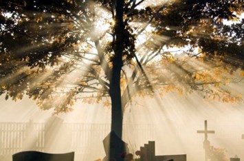 Obituary of Susan Diane Chadduck