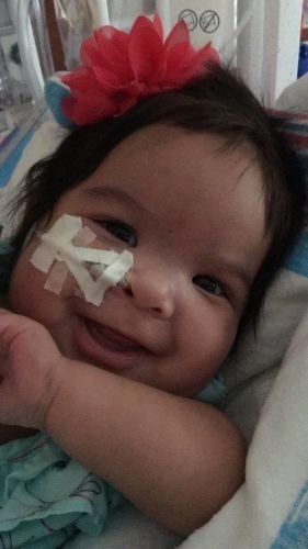 Obituary of Arianna Paulette Zavala