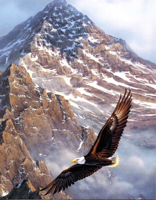 Obituary of Donald N. Abbott