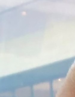 Carl Rizzo Obituary - Port Charlotte, FL