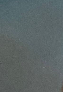 Wyatt Bridges Obituary Greenville, SC
