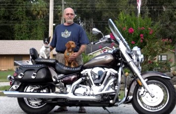 Obituary of Lee T. D'Orlando