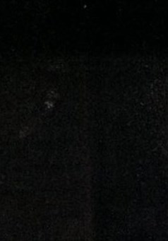 Peggy McIntosh Obituary Pasadena, TX