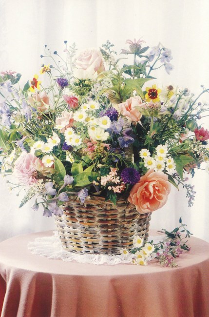 Obituary of Anna Lorene Hardison