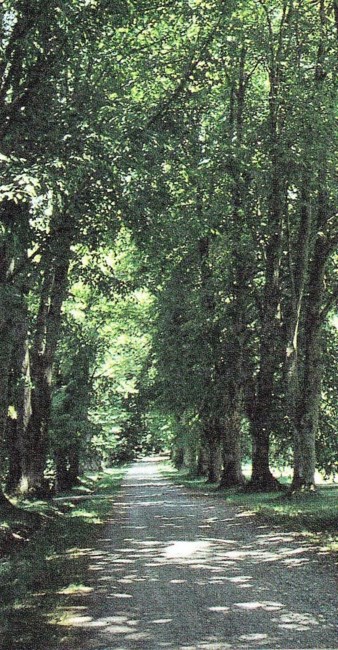 Obituary of Dai Nguyen