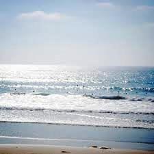 Obituary of Rose Marie Morgan