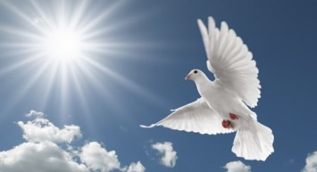 Obituary of Leslie Adolph Ory