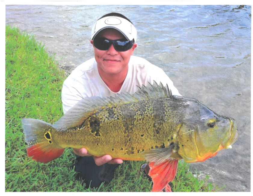 Obituary of Hai Huy Truong