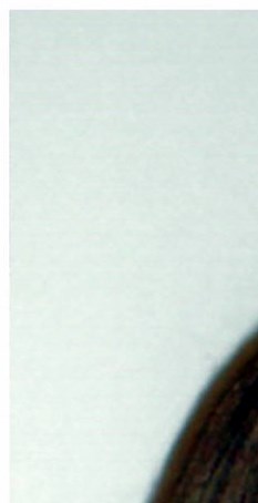 Floral Hills Funeral Home Tucker Ga