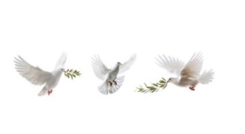 Obituary of Gloria Marie Gadbois