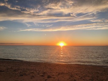 Obituary of Carol Elizabeth Sachs