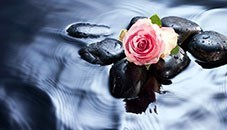 Obituary of Cynthia Boyars Golbe