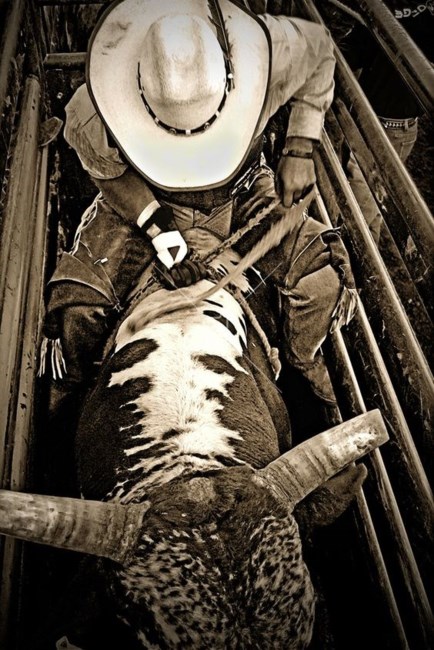 Obituary of William "Wild Bill" James Thornton