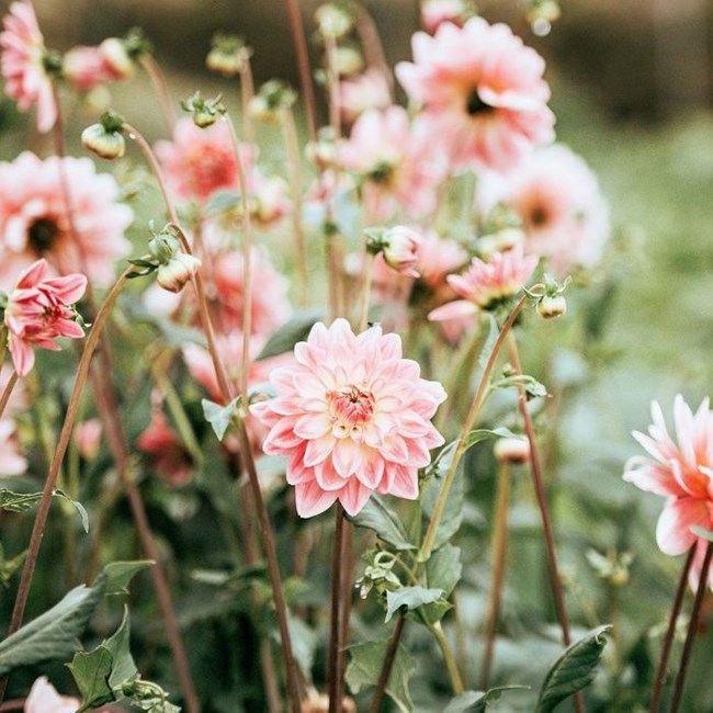 Obituary of Margery Lee Bly