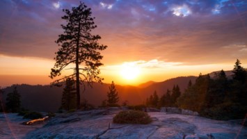 Obituary of Johnny Ray Crawley