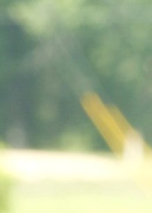 Ruby Lee Marie Mathis Obituary - Metairie, LA