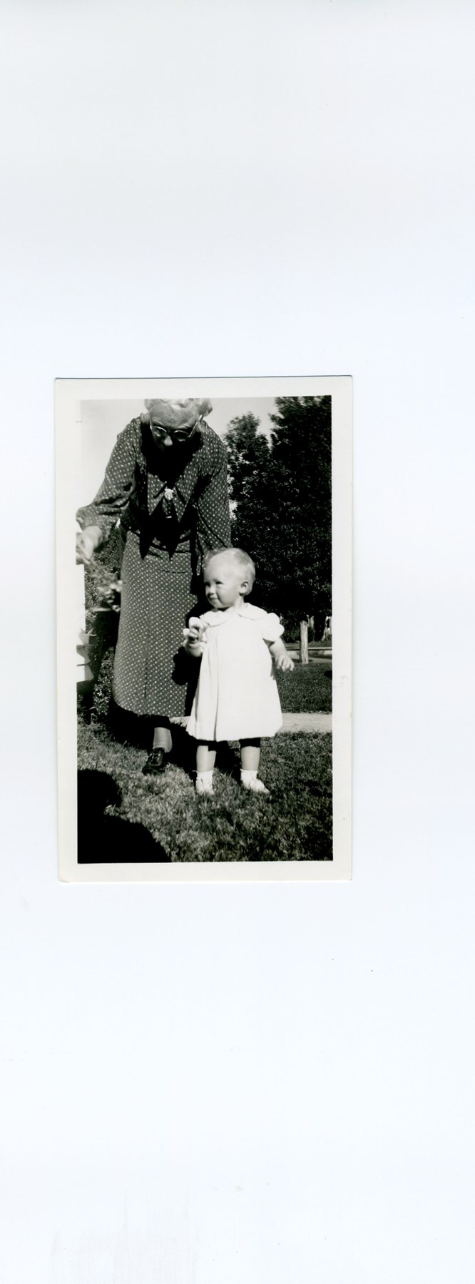 Obituary of Shirley May Davis